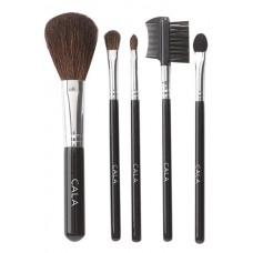 5pc Cosmetic Brush Kit (Medium)