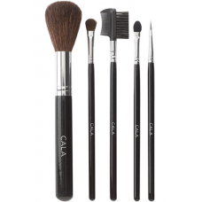 5Pc Cosmetic Brush Kit (Large)